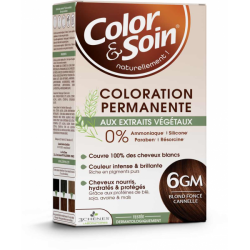 Color & Soin Colorations 6GM BLOND FONCE CANNELLE Color & Soin Colorations 6GM BLOND FONCE CANNELLE