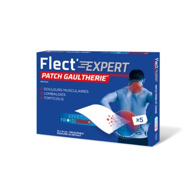 FLECT'EXPERT 5 Patchs Gaulthérie Effet Froid puis Chaud