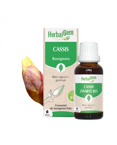 HERBALGEM Bourgeons de cassis Flacon de 30 ml