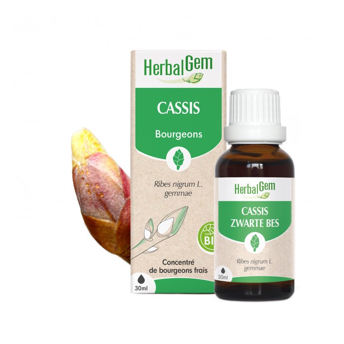 HERBALGEM Bourgeons de cassis Flacon de 30 ml