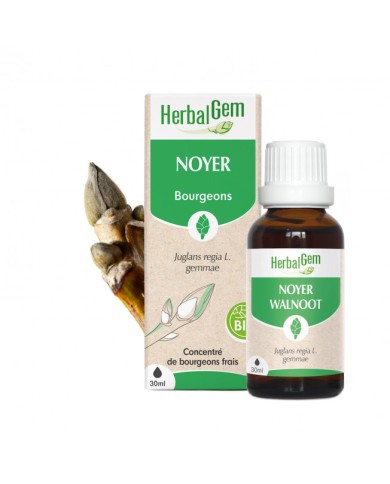 HERBALGEM Bourgeons de Noyer Flacon de 30 ml HERBALGEM Bourgeons de Noyer Flacon de 30 ml