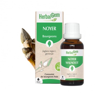 HERBALGEM Bourgeons de Noyer Flacon de 30 ml HERBALGEM Bourgeons de Noyer Flacon de 30 ml