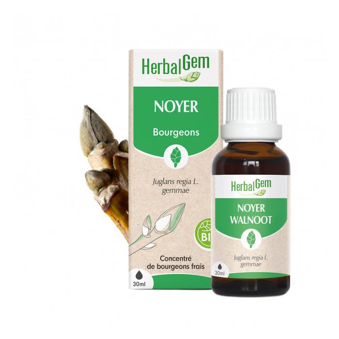 HERBALGEM Bourgeons de Noyer Flacon de 30 ml