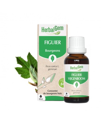 HERBALGEM Bourgeons de Figuiers Flacon de 30 ml