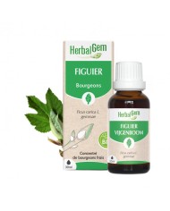 HERBALGEM Bourgeons de...