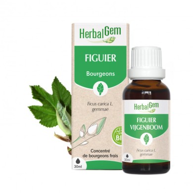 HERBALGEM Bourgeons de Figuiers Flacon de 30 ml