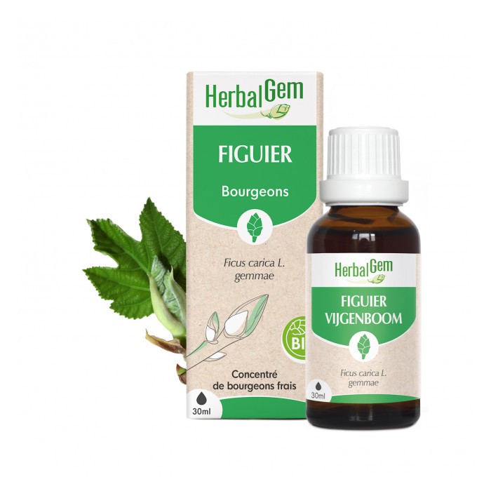HERBALGEM Bourgeons de Figuiers Flacon de 30 ml