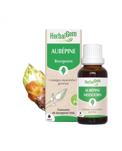 HERBALGEM Bourgeons d'Aubépine Flacon de 30 ml HERBALGEM Bourgeons d'Aubépine Flacon de 30 ml
