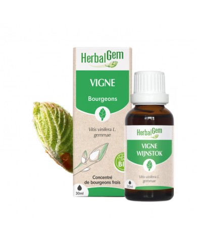 HERBALGEM Macérat de Bourgeons frais de Vignes Flacon de 30 ml