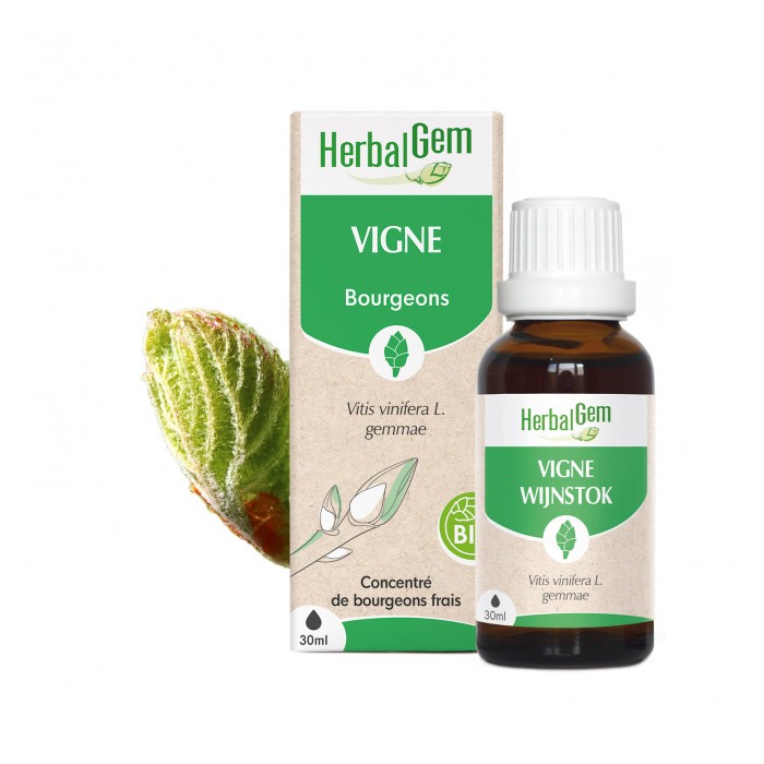 HERBALGEM Macérat de Bourgeons frais de Vignes Flacon de 30 ml