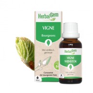 HERBALGEM Macérat de Bourgeons frais de Vignes Flacon de 30 ml