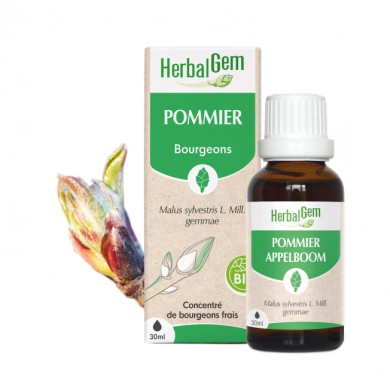 HERBALGEM Bourgeon de Pommier Flacon de 30 ml