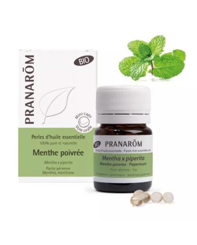 Pranarom Perles d'Huile Essentielle Menthe Poivrée Boite de 60 perles Pranarom Perles d'Huile Essentielle Menthe Poivrée Boite de 60 perles