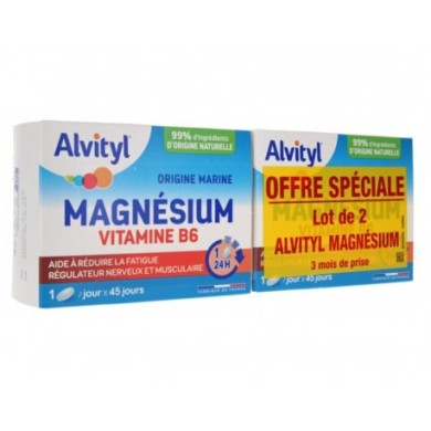 ALVITYL Magnésium Vitamine B6 Comprimés 2 boiteS de 45 ALVITYL Magnésium Vitamine B6 Comprimés 2 boiteS de 45