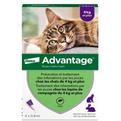 Advantage 80 pour chat et lapin Boite de  4 x 0.8 ml