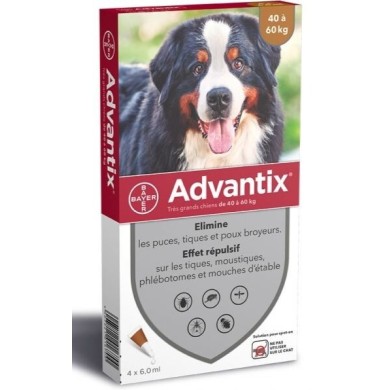 Advantix chien 40 -60 kg Boite de 4 pipettes