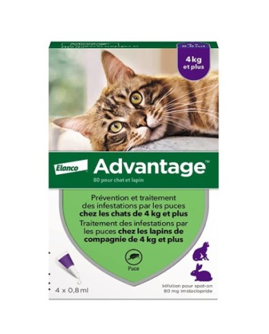 Advantage 40 pour chat et lapin de - 4 kilos Boite de  4 x 0.8 ml
