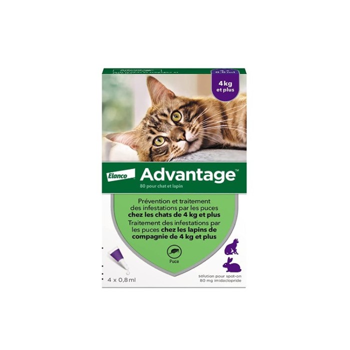 Advantage 40 pour chat et lapin de - 4 kilos Boite de  4 x 0.8 ml Advantage 40 pour chat et lapin de - 4 kilos Boite de  4 x 0.8 ml