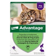Advantage 40 pour chat et lapin de - 4 kilos Boite de  4 x 0.8 ml Advantage 40 pour chat et lapin de - 4 kilos Boite de  4 x 0.8 ml