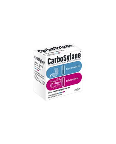 CARBOSYLANE Ballonements Boite de 30 doses