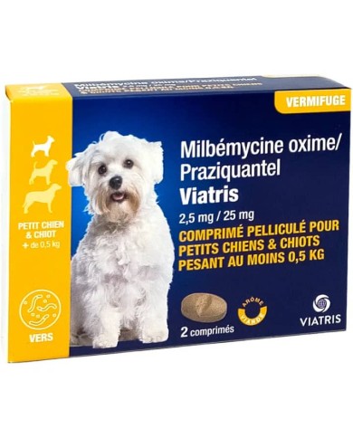 Milbemycine / Praziquantel Viatris Chiot - petit chien Boite de 2 comprimés