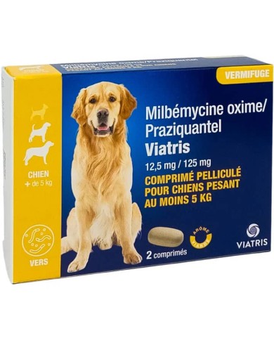 Milbemycine / Praziquantel Viatris Chien + 5 kilos Boite de 2 comprimés