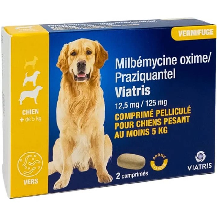 Milbemycine / Praziquantel Viatris Chien + 5 kilos Boite de 2 comprimés