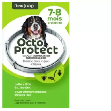 OctoProtect collier anti puce pour grand chien de + 8 kilos Boite de 1