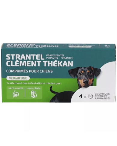 STRANTEL CHIENS Vermifuge Comprimés Boite de 4