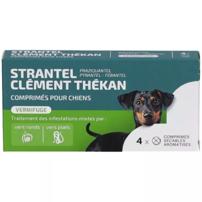STRANTEL CHIENS Vermifuge Comprimés Boite de 4