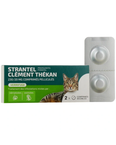 CLEMENT THEKAN STRANTEL Chats Comprimés Boite de 2 arôme viande