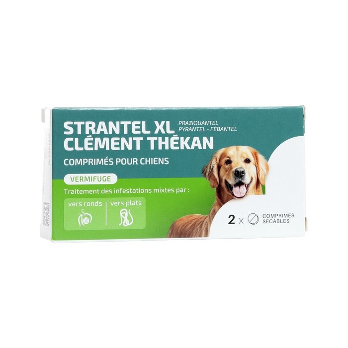 CLEMENT THEKAN Vermifuges Strantel XL Chiens Boite de 2 comprimés