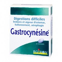 GASTROCYNESINE Digestion difficiles Boite de 60 comprimés
