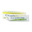 CICADERMA Pommade Tube de 30g CICADERMA Pommade Tube de 30g