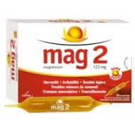 MAG 2 SANS SUCRE 122mg S buv 30A/10ml