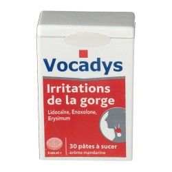 VOCADYS Pâtes à sucer Boite de 30 COOPÉRATION PHARMACEUTIQUE FRANÇAISE - 1 VOCADYS Pâtes à sucer Boite de 30 COOPÉRATION PHARMACEUTIQUE FRANÇAISE - 1