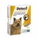 VELOXA Vermifuge pour chiens Boite de 4 comprimés à croquer