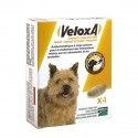 VELOXA Vermifuge pour chiens Boite de 4 comprimés à croquer VELOXA Vermifuge pour chiens Boite de 4 comprimés à croquer