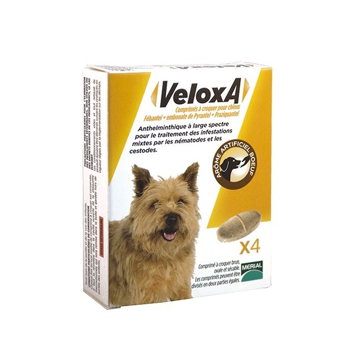 VELOXA Vermifuge pour chiens Boite de 4 comprimés à croquer