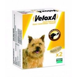 VELOXA Vermifuge pour chiens Boite de 2 comprimés à croquer