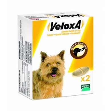 VELOXA Vermifuge pour chiens Boite de 2 comprimés à croquer