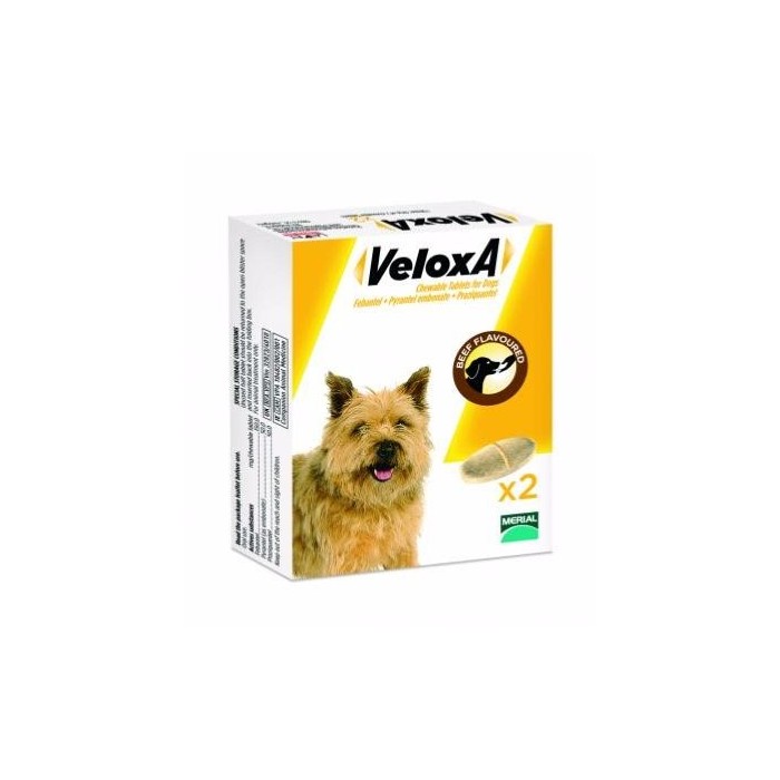 VELOXA Vermifuge pour chiens Boite de 2 comprimés à croquer