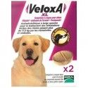 VELOXA XL Vermifuges pour chiens de plus de 17,5 kilos Boite de 2 comprimés à crouer