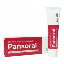 PANSORAL Gel buccal Tube de 15 grammes PIERRE FABRE - 1 PANSORAL Gel buccal Tube de 15 grammes PIERRE FABRE - 1