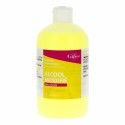 ALCOOL MODIFIE GIFRER 70° Solution pour application locale Flacon de 500ml GIFRER BARBEZAT - 1 ALCOOL MODIFIE GIFRER 70° Solution pour application locale Flacon de 500ml GIFRER BARBEZAT - 1
