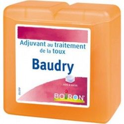 PATES BAUDRY Pâtes pectorales à sucer Boite de 70g Boiron - 1