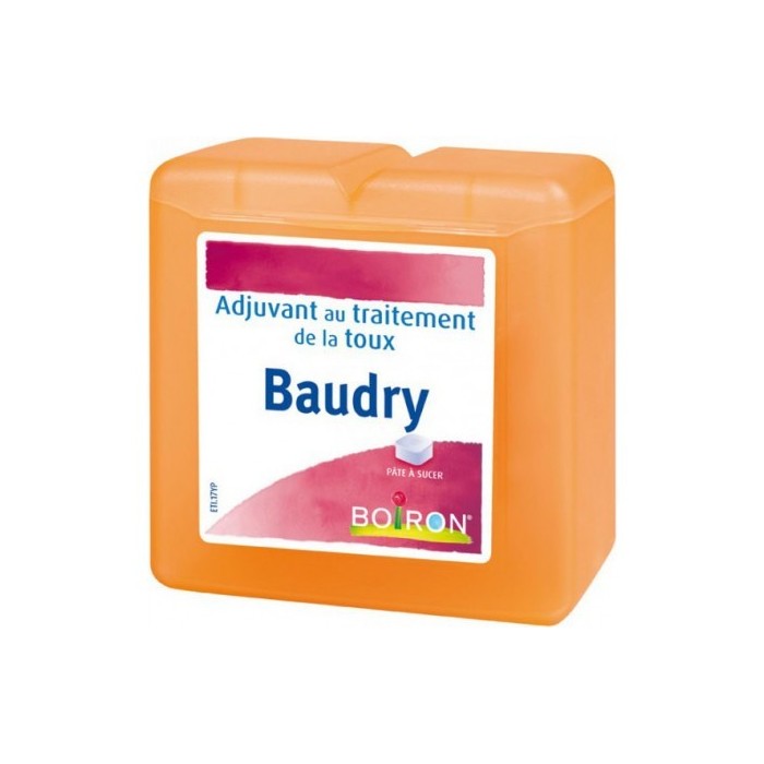PATES BAUDRY Pâtes pectorales à sucer Boite de 70g Boiron - 1
