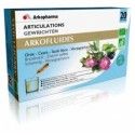 ARKOPHARMA BIO Arkofluides articulations Boite de 20 ampoules de 15 ml Arkopharma - 1 ARKOPHARMA BIO Arkofluides articulations Boite de 20 ampoules de 15 ml Arkopharma - 1