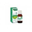 ARKO ESSENTIEL Eucalyptus Globulus Flacon de 10 ml ARKO ESSENTIEL Eucalyptus Globulus Flacon de 10 ml