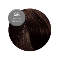 Color & Soin Colorations  5B Marron Chocolat
